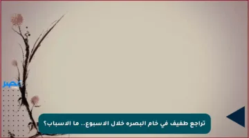 تراجع طفيف في خام البصرة خلال الأسبوع.. ما الأسباب؟